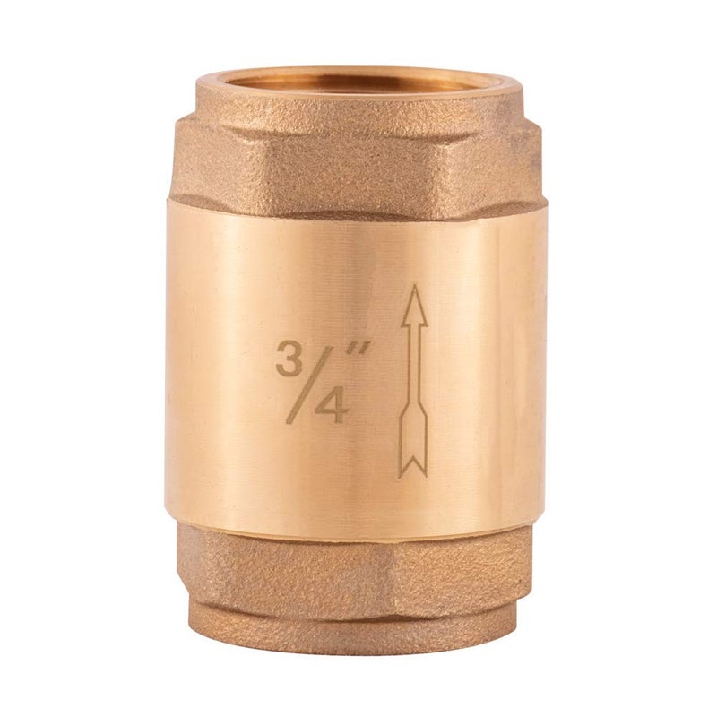 Eastman Brass In-Line Check Valve, 3/4 Inch IPS Threaded Connection, Stainless Steel Spring, 20403LF - Image 1